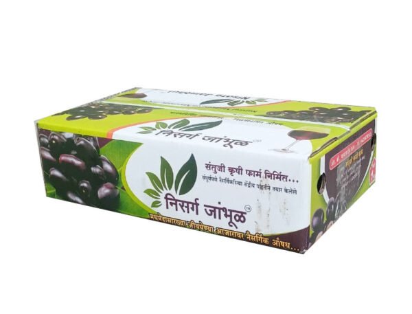 जांभूळ (Jambhul) - Image 2